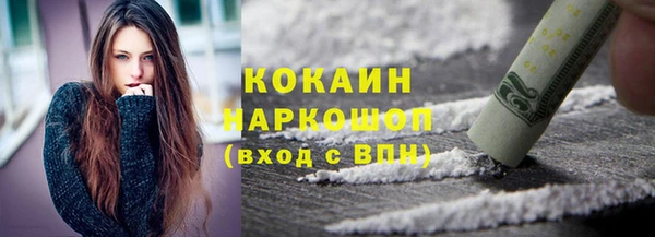mix Богородицк