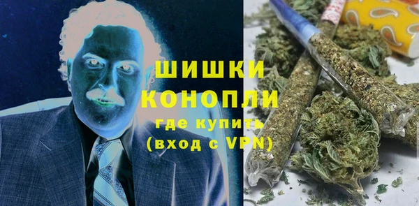 mix Богородицк