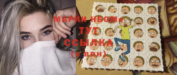 mix Богородицк