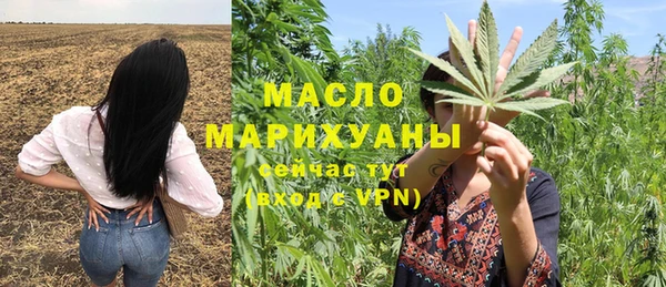 mix Богородицк