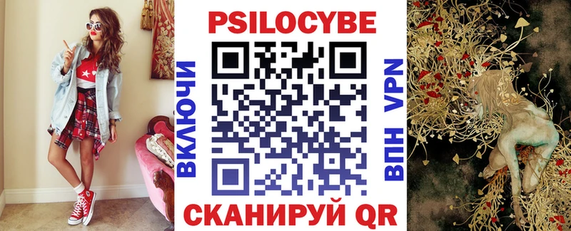 Галлюциногенные грибы Psilocybe купить закладку Новокузнецк